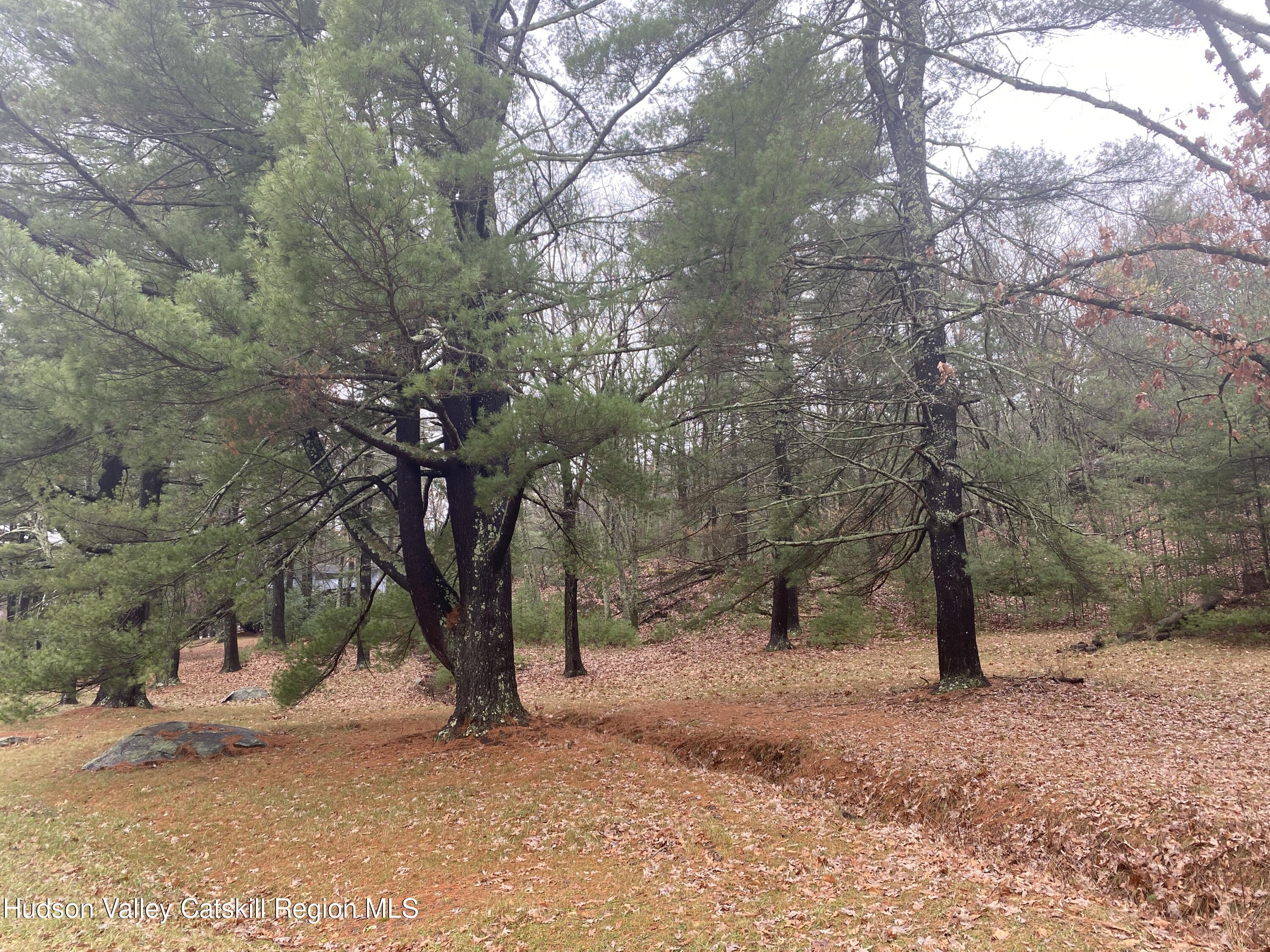 Tbd Dianne Drive, Ellenville, New York image 10