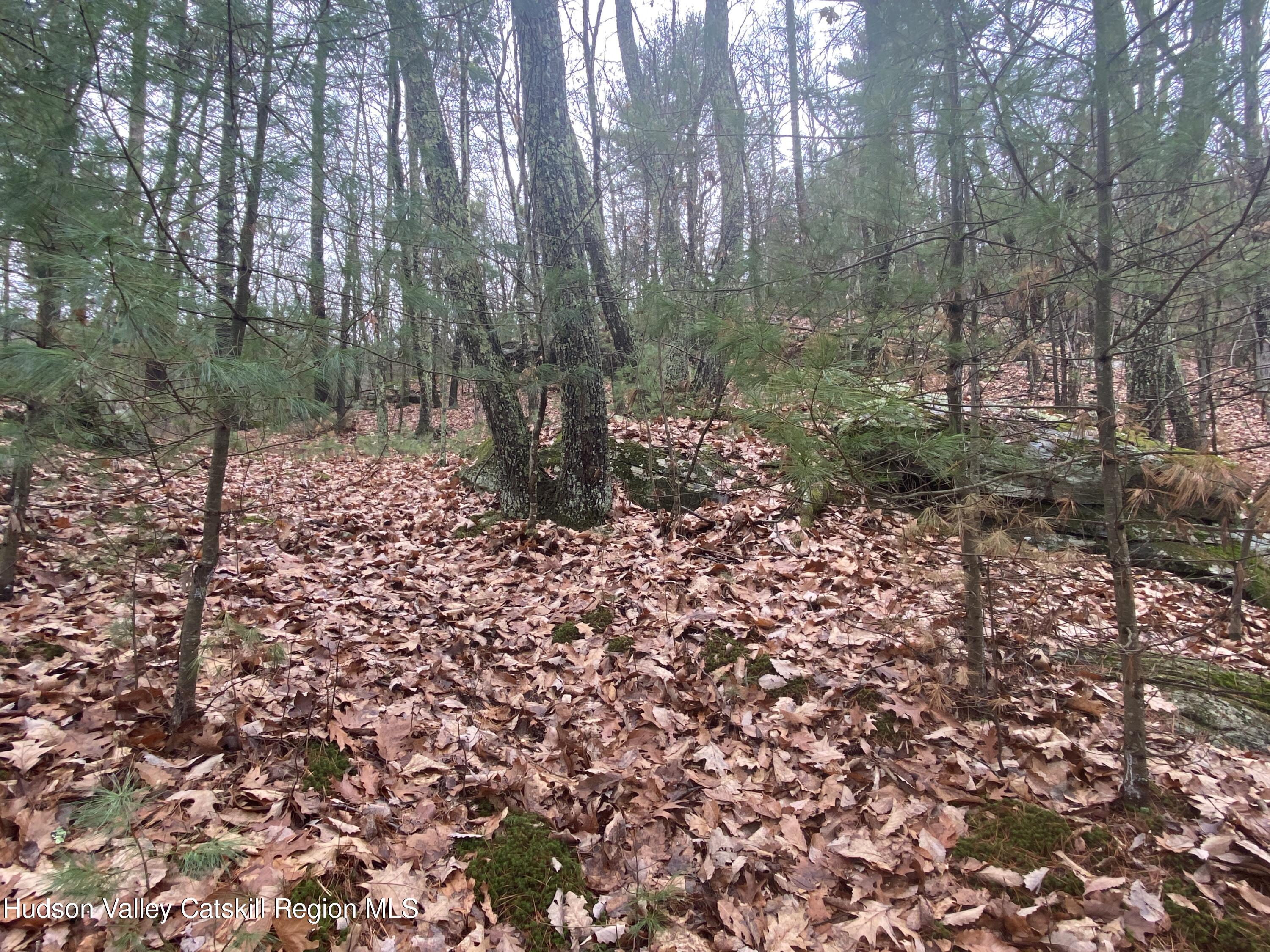 Tbd Dianne Drive, Ellenville, New York image 19