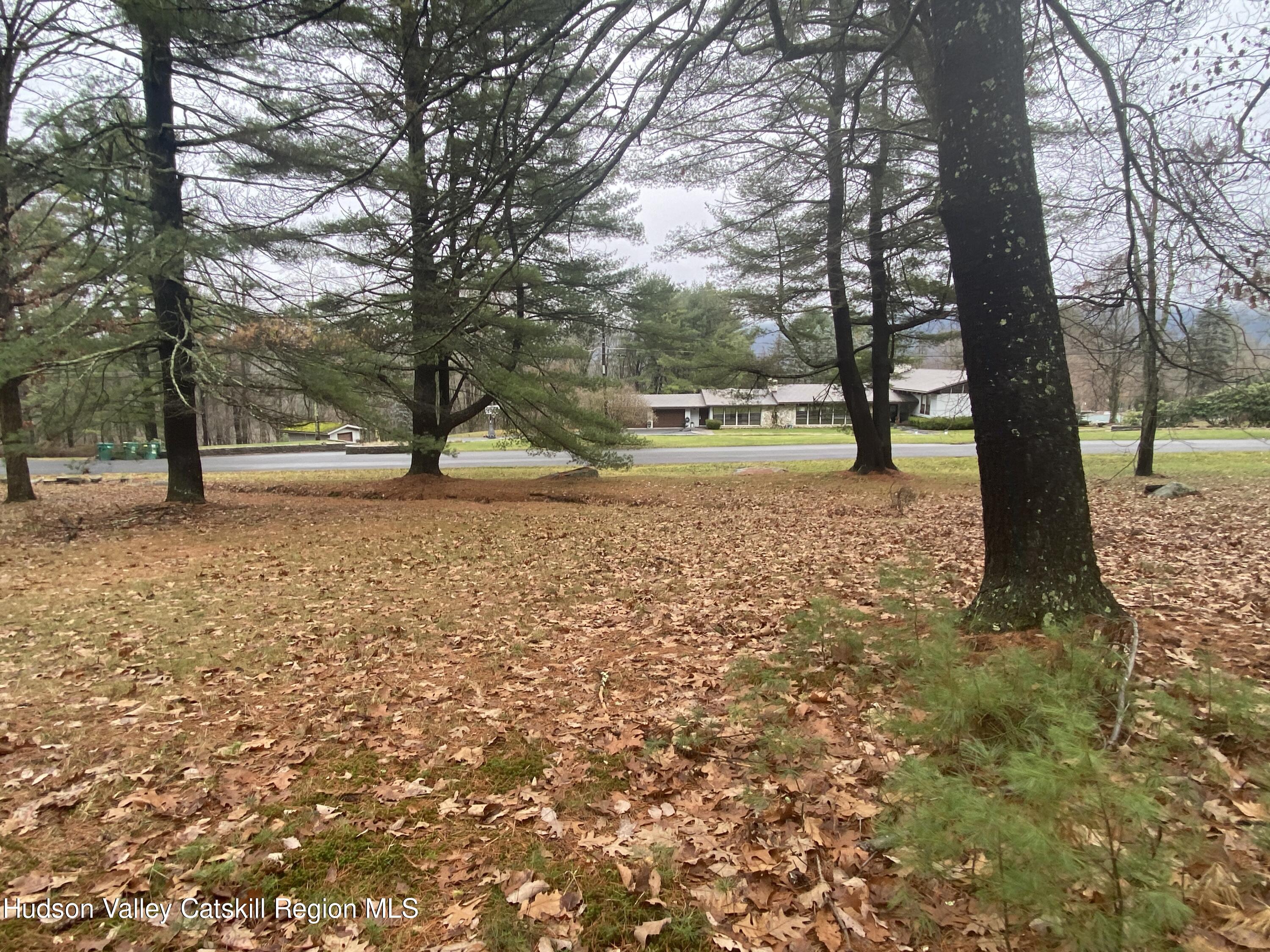 Tbd Dianne Drive, Ellenville, New York image 25