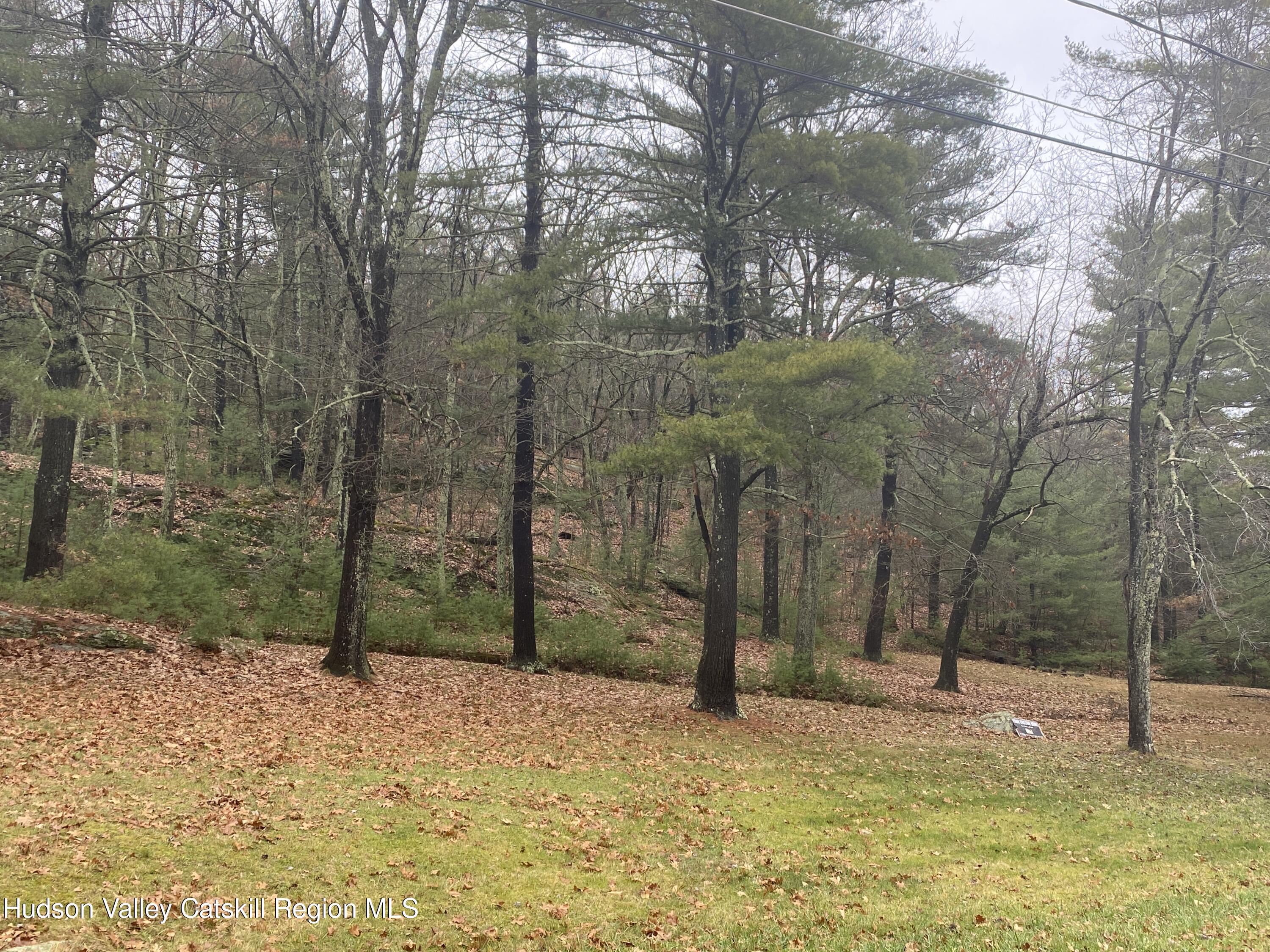 Tbd Dianne Drive, Ellenville, New York image 4