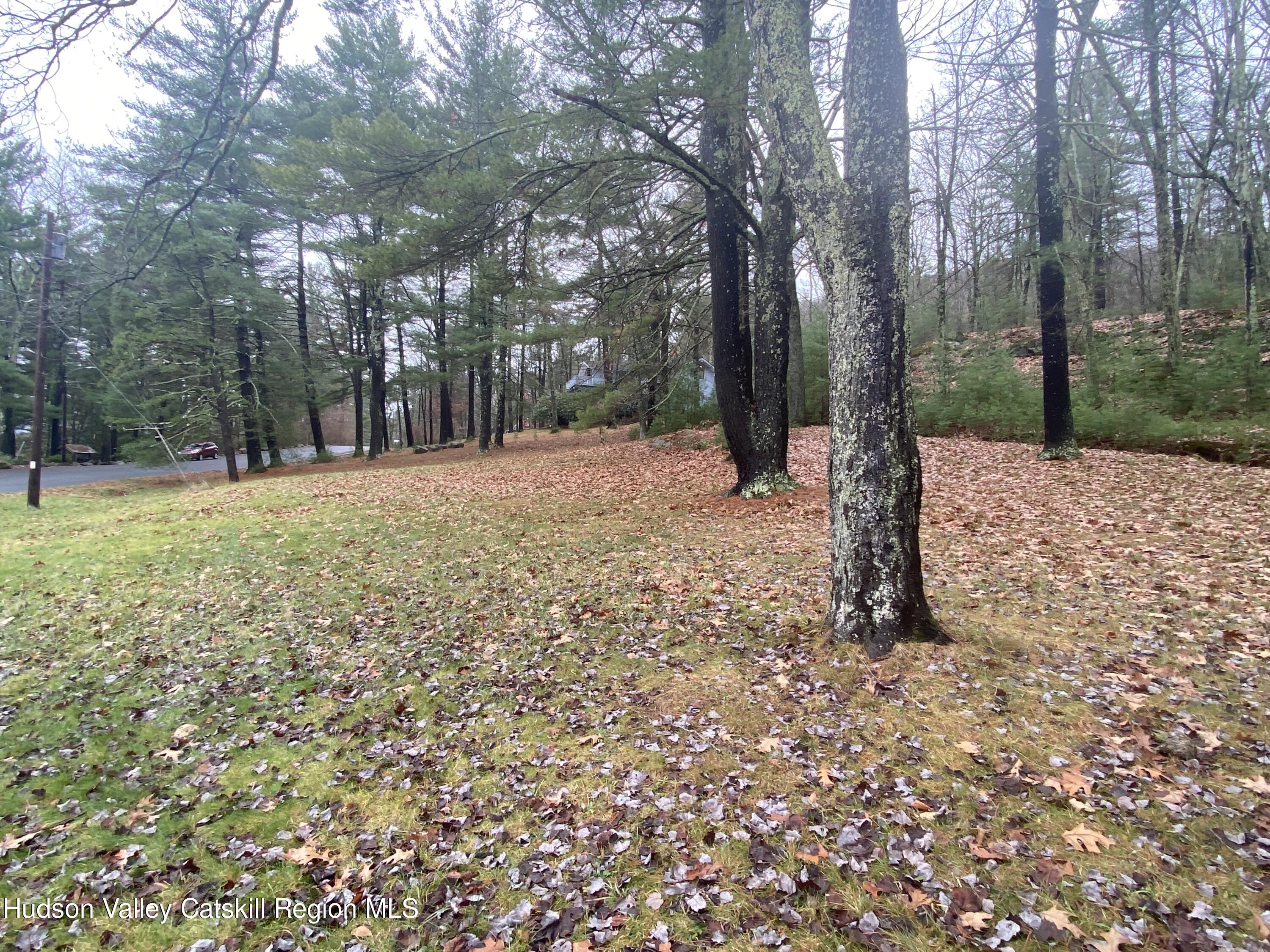 Tbd Dianne Drive, Ellenville, New York image 30