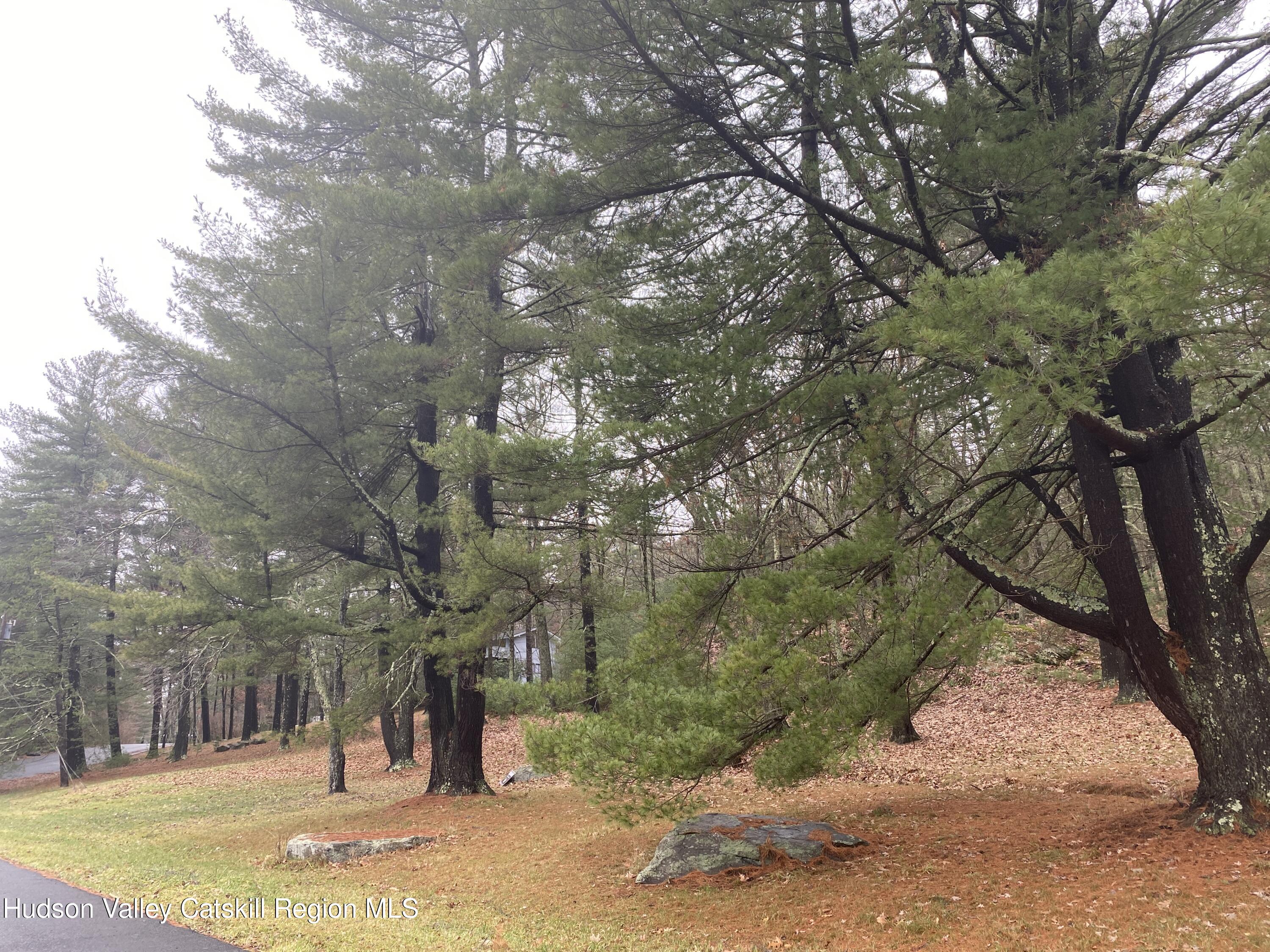 Tbd Dianne Drive, Ellenville, New York image 9