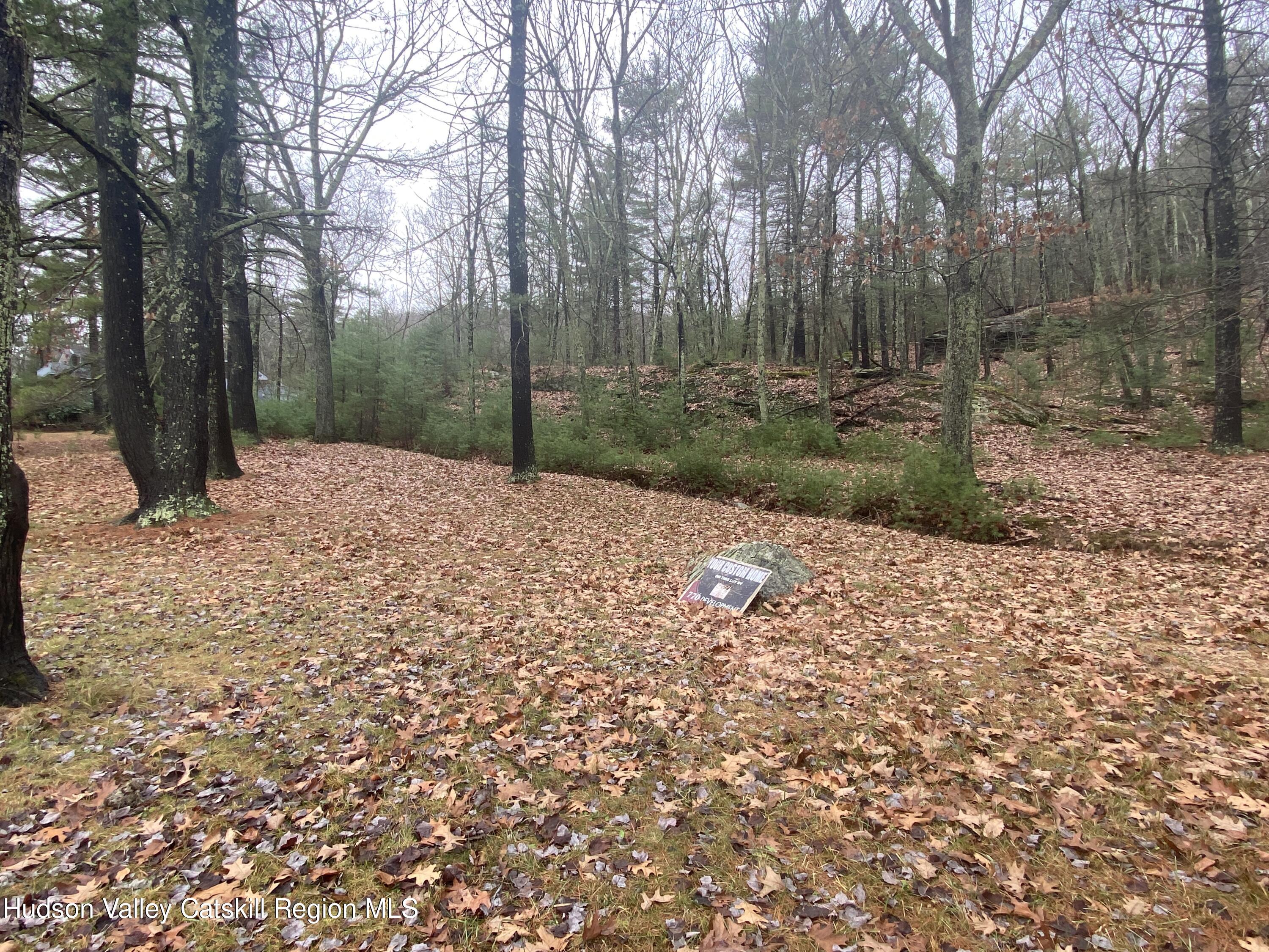 Tbd Dianne Drive, Ellenville, New York image 28