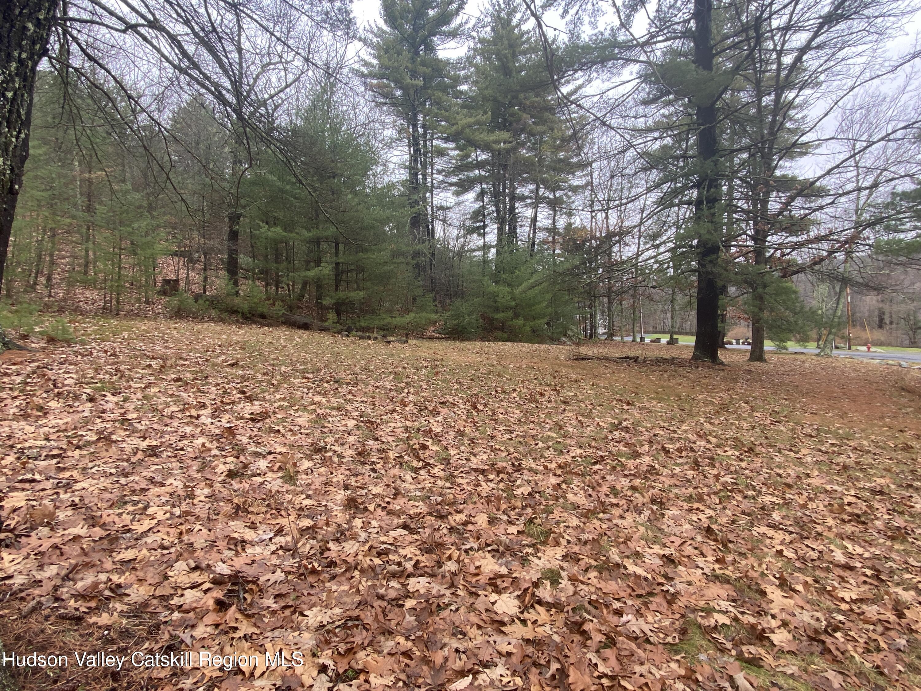 Tbd Dianne Drive, Ellenville, New York image 27