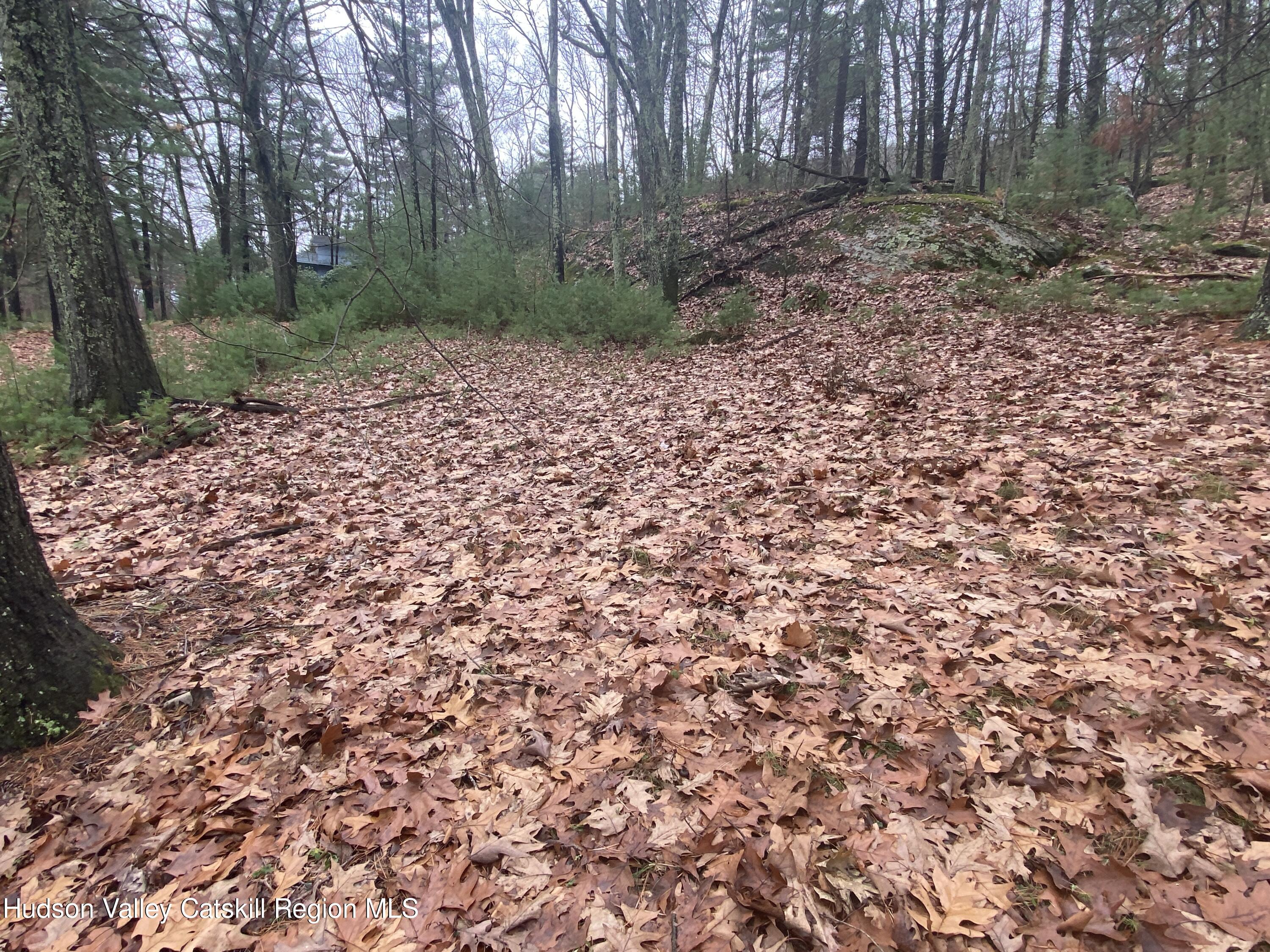 Tbd Dianne Drive, Ellenville, New York image 26