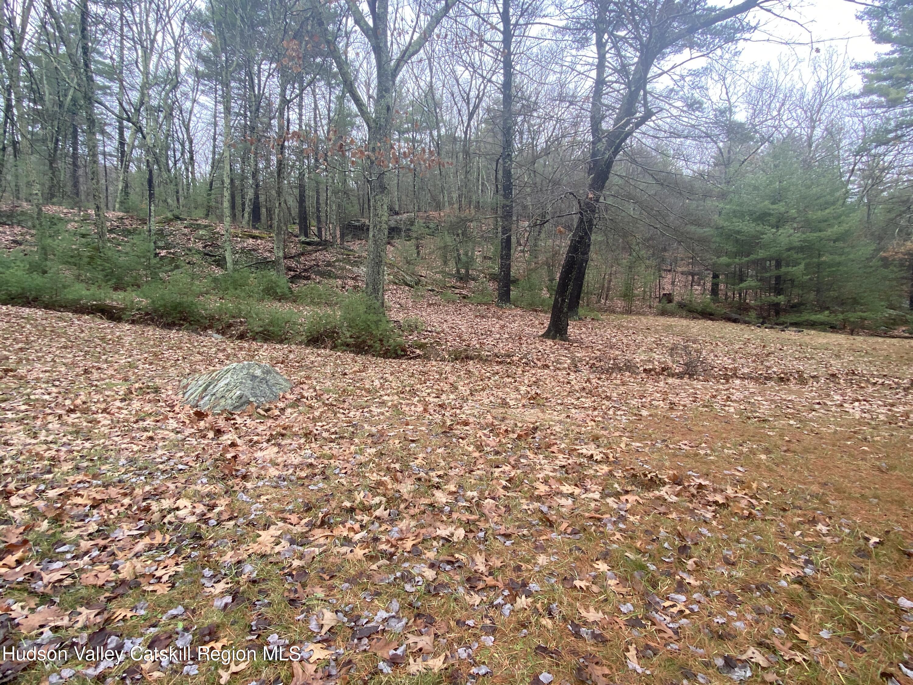 Tbd Dianne Drive, Ellenville, New York image 29