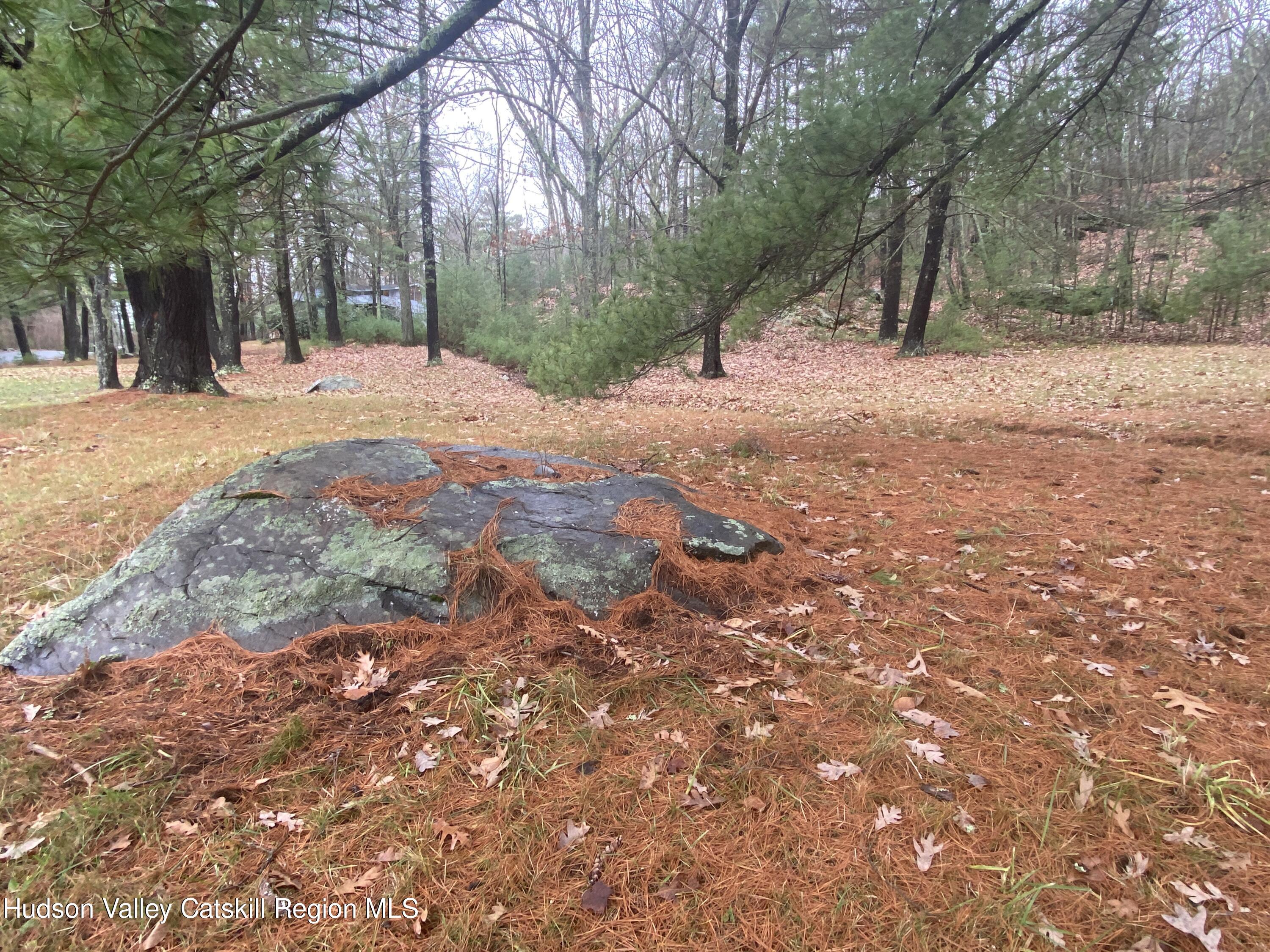Tbd Dianne Drive, Ellenville, New York image 13