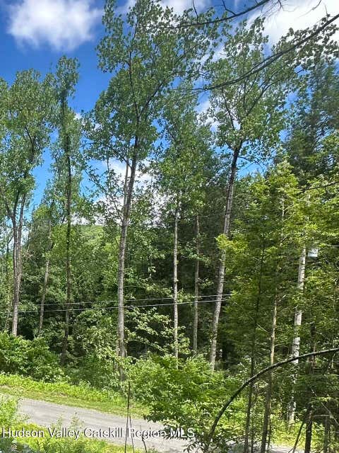 Vacant Land For Sale - 00 Stone Ledge Road<br/> Hillsdale, NY 12529