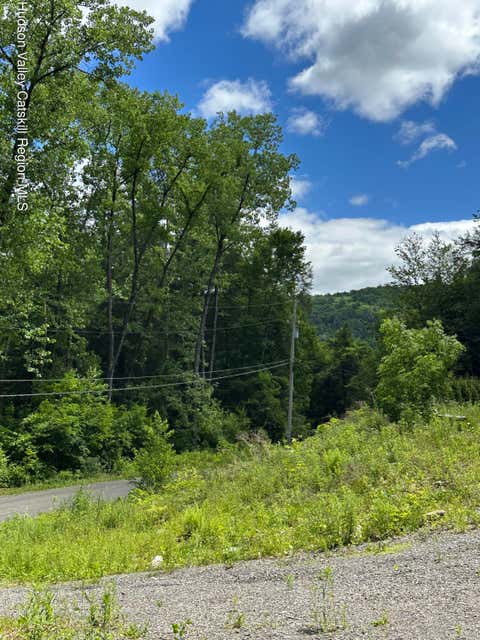 Vacant Land For Sale - 00 Stone Ledge Road<br/> Hillsdale, NY 12529