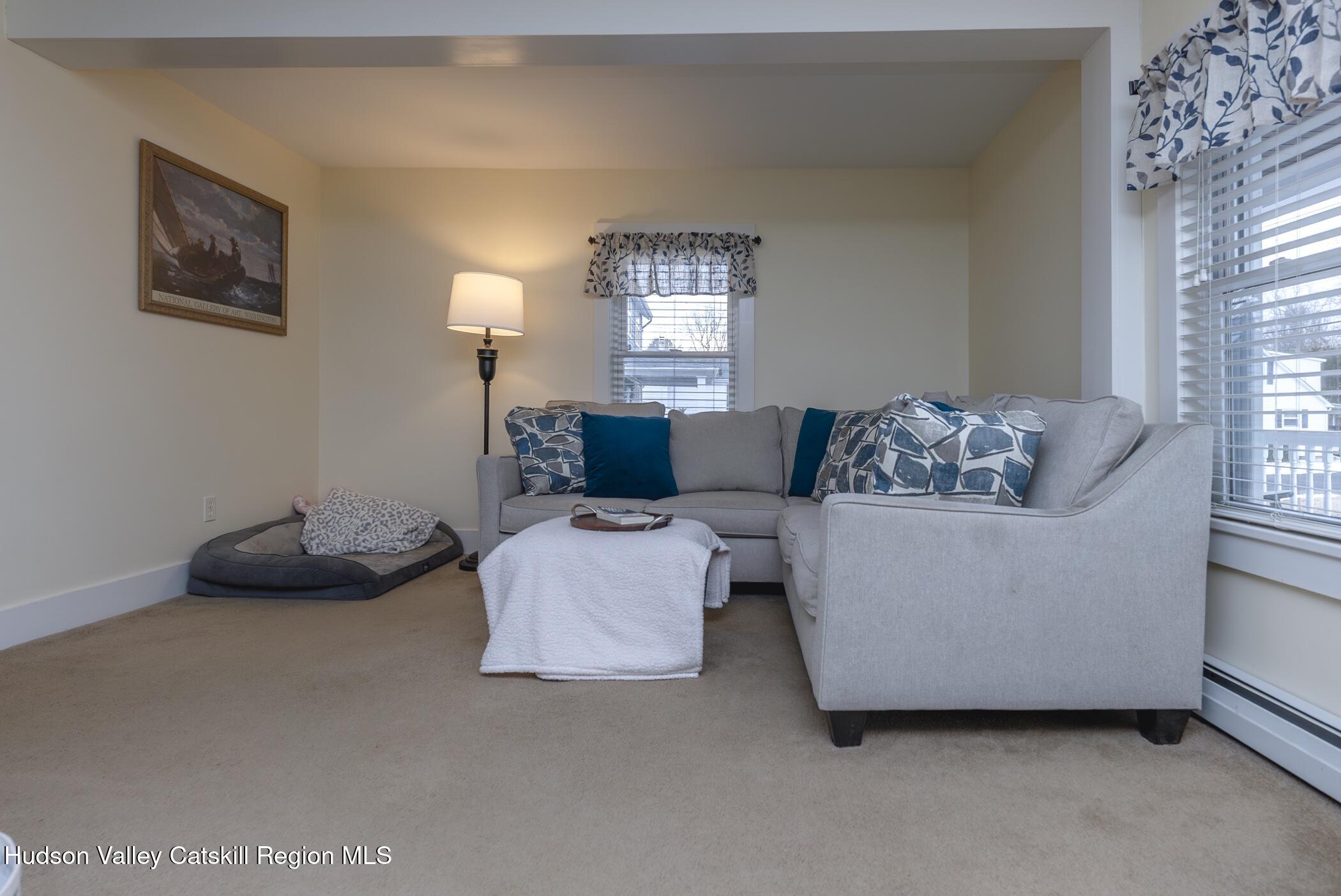 314 Clifton Avenue, Kingston, California image 38