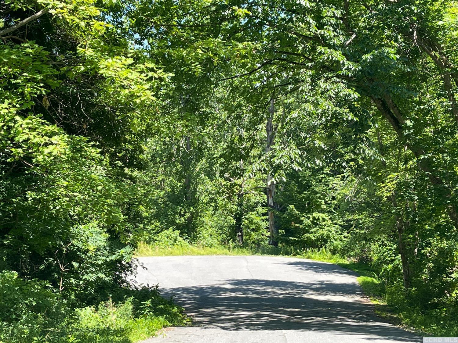 37 Schoolmaster Court, Coxsackie, New York -  - 