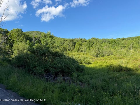 Vacant Land For Sale - 3012 Red Kill Road<br/> Fleischmanns, NY 12430