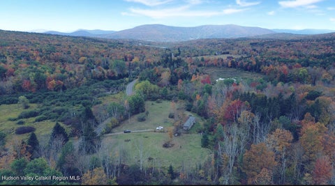Vacant Land For Sale - 611 Mitchell Hollow Road<br/> Windham, NY 12496