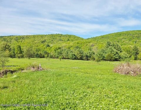 Vacant Land For Sale - 308 Ny-28<br/> Kingston, NY 12401