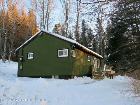 Photo of 4030 Vega Mountain Road, Roxbury, NY 12474 (MLS # 20260665)