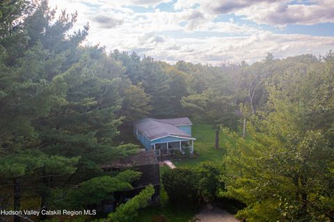 Photo of 811 Hervey Sunside Road, Cornwallville, NY 12418 (MLS # 20260605)