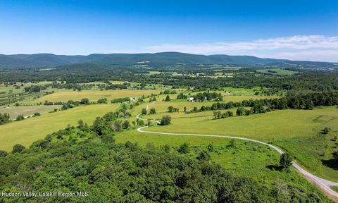 Vacant Land For Sale - High Meadow Road<br/> Copake, NY 12516