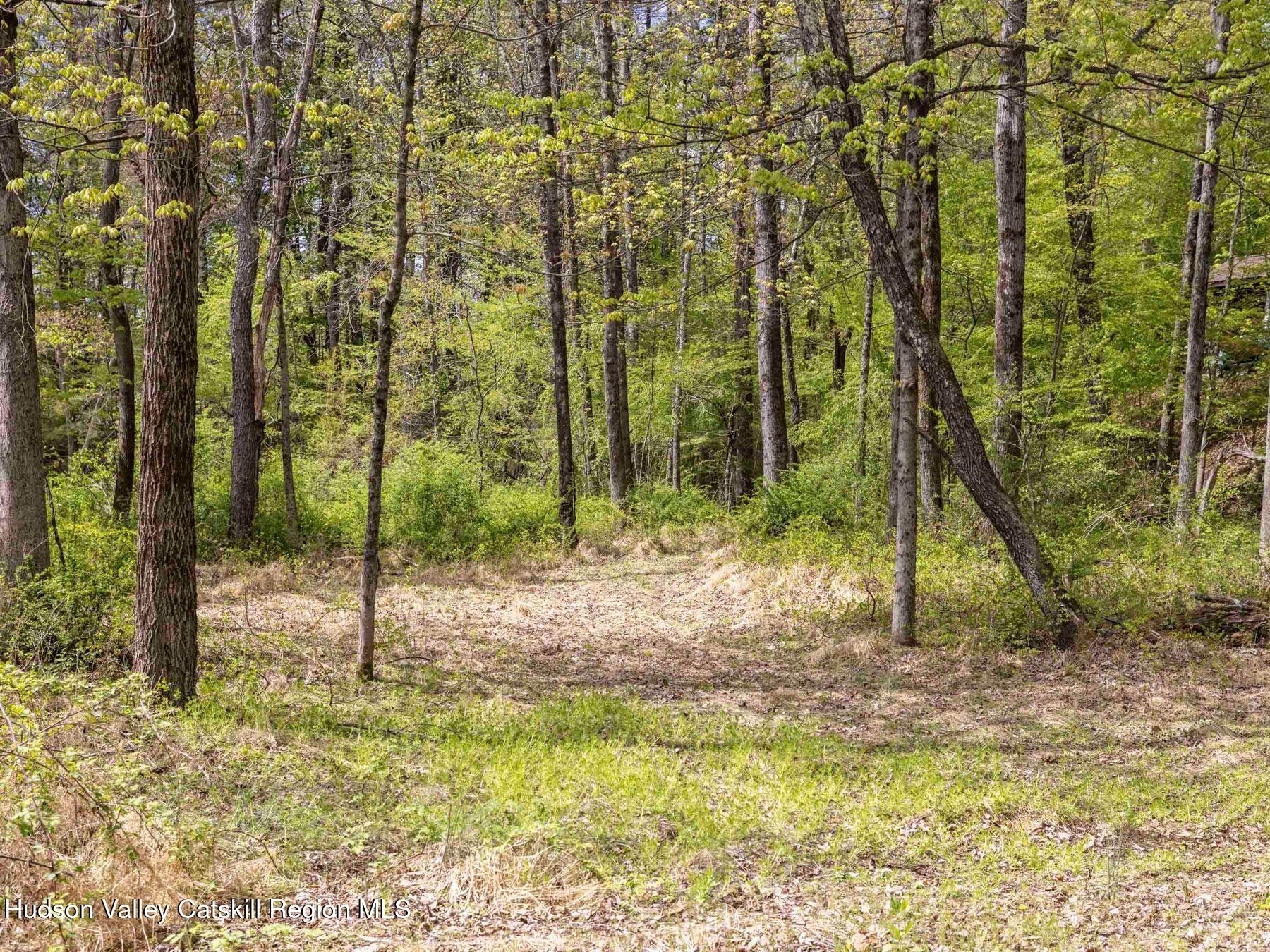3639 Atwood Road, Stone Ridge, Ohio image 30