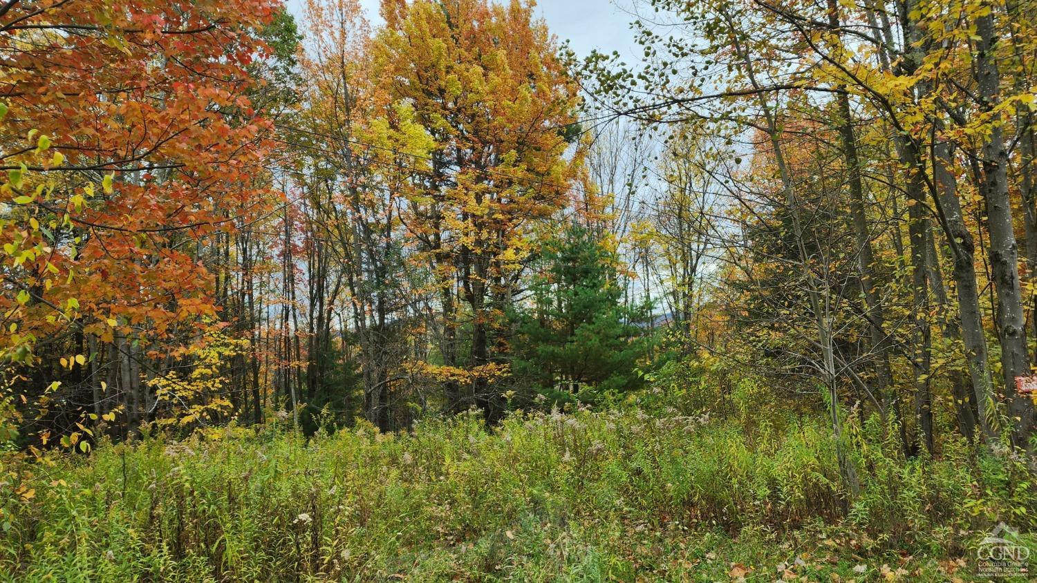 3333 Route 10, Ashland, New York image 6