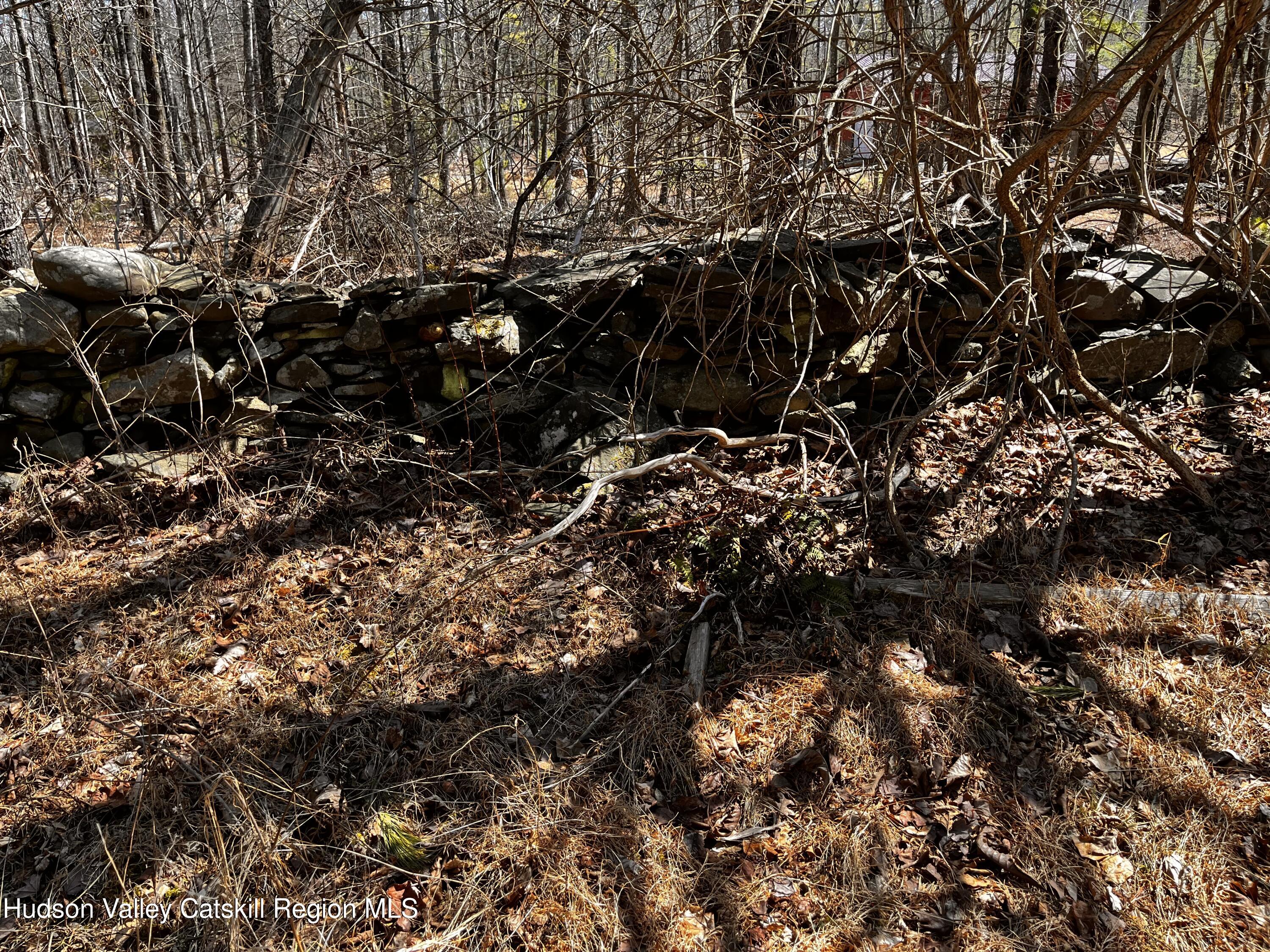 1145 Glasco Turnpike, Saugerties, Texas image 4