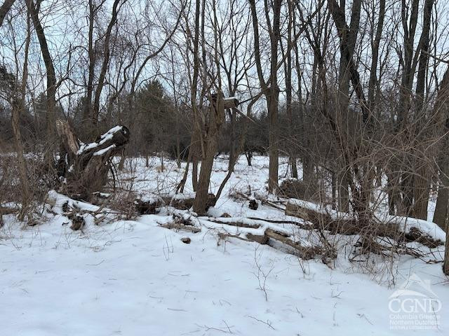 Anthony Avenue, Greenport, New York image 5