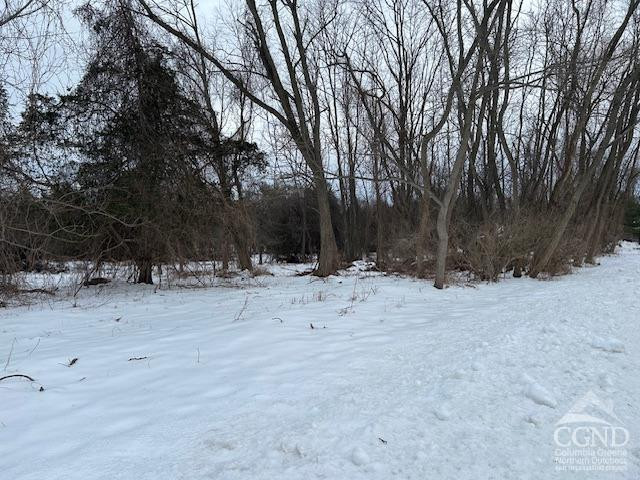 Anthony Avenue, Greenport, New York image 7