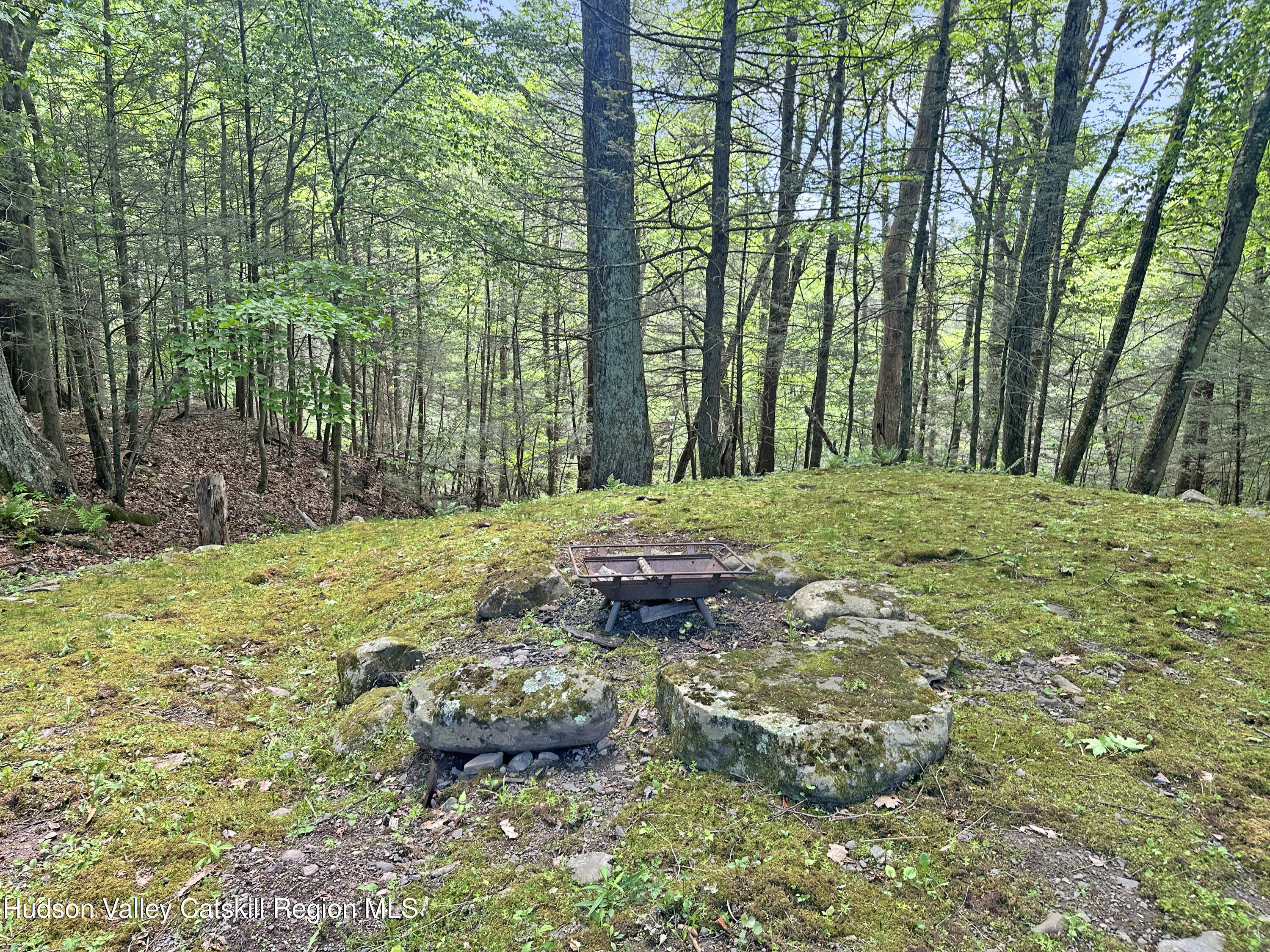 148 Hutchin Hill Road, Bearsville, Texas image 31