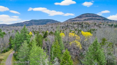 Vacant Land For Sale - 11 Corfu Road<br/> Elka Park, NY 12427