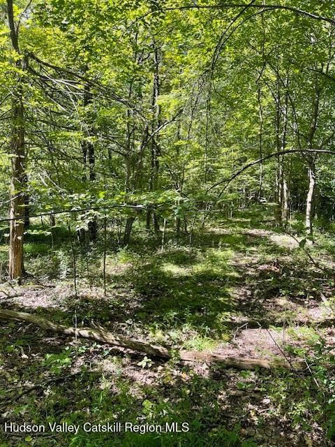 Vacant Land For Sale - L-33 Harring Drive<br/> Cairo, NY 12413