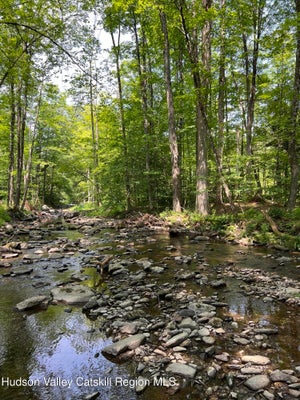 0 NY-22, AUSTERLITZ, NY 12017 - Image 7ebe46ef004b64b29e637a4e60893c3c/3326337038
