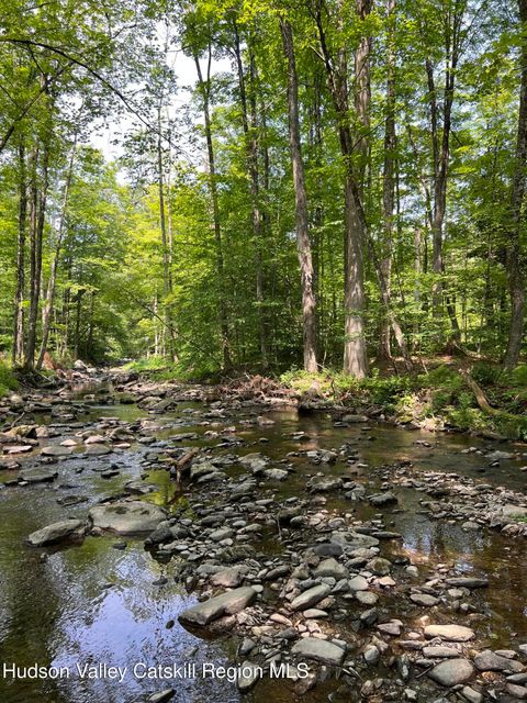 Vacant Land For Sale - Ny-22<br/> Austerlitz, NY 12017