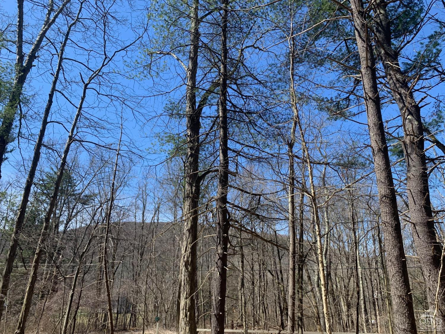 76 Route 71 Dr, Hillsdale, New York image 5
