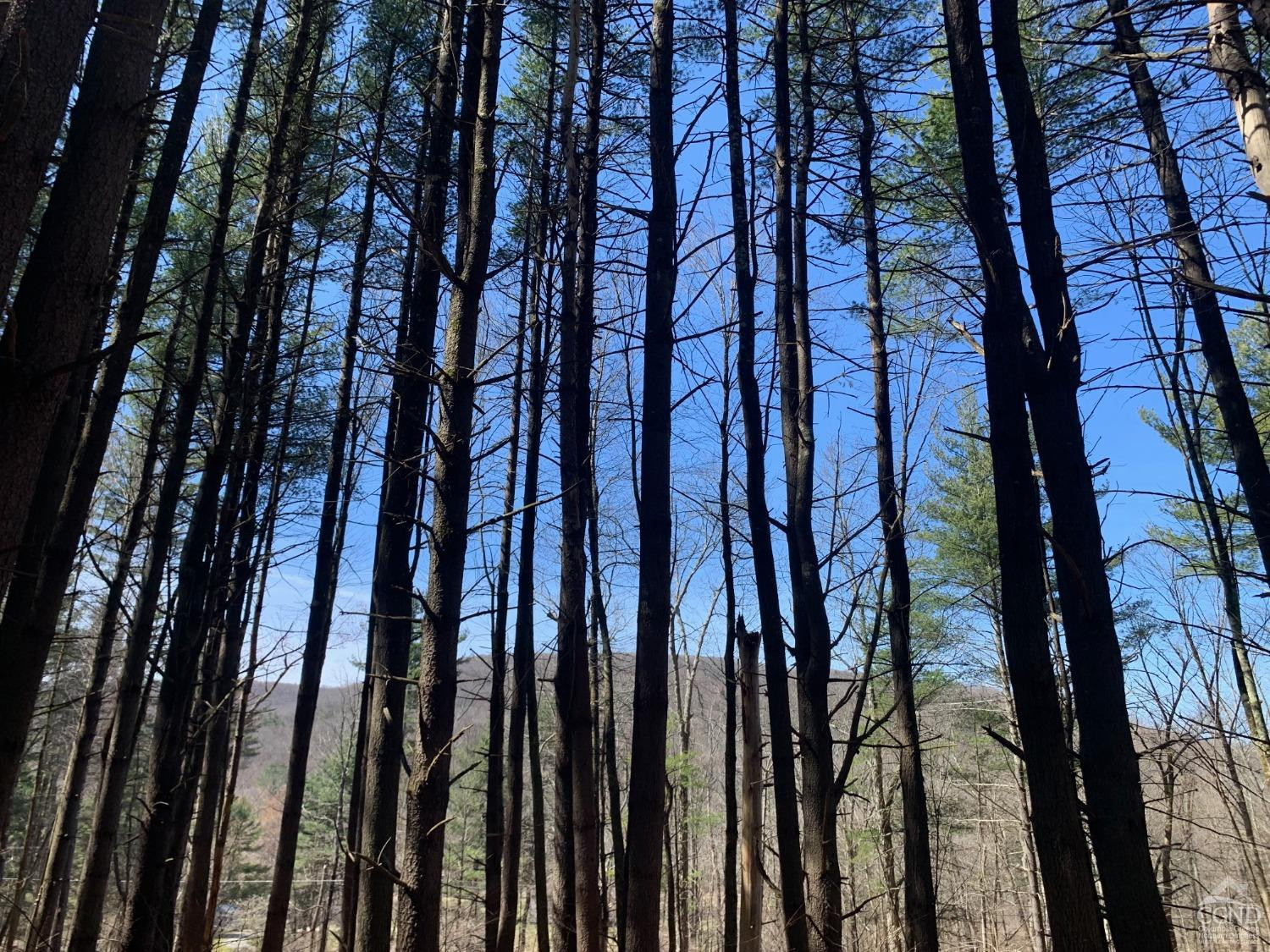 76 Route 71 Dr, Hillsdale, New York image 3
