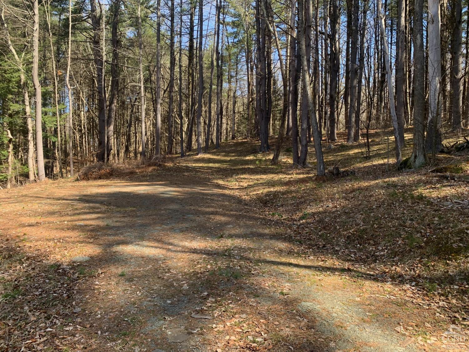 76 Route 71 Dr, Hillsdale, New York image 4
