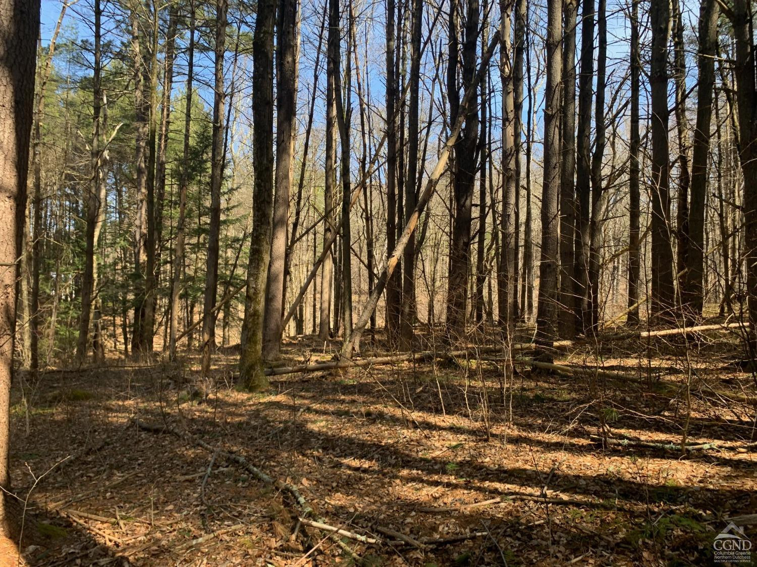 76 Route 71 Dr, Hillsdale, New York image 8