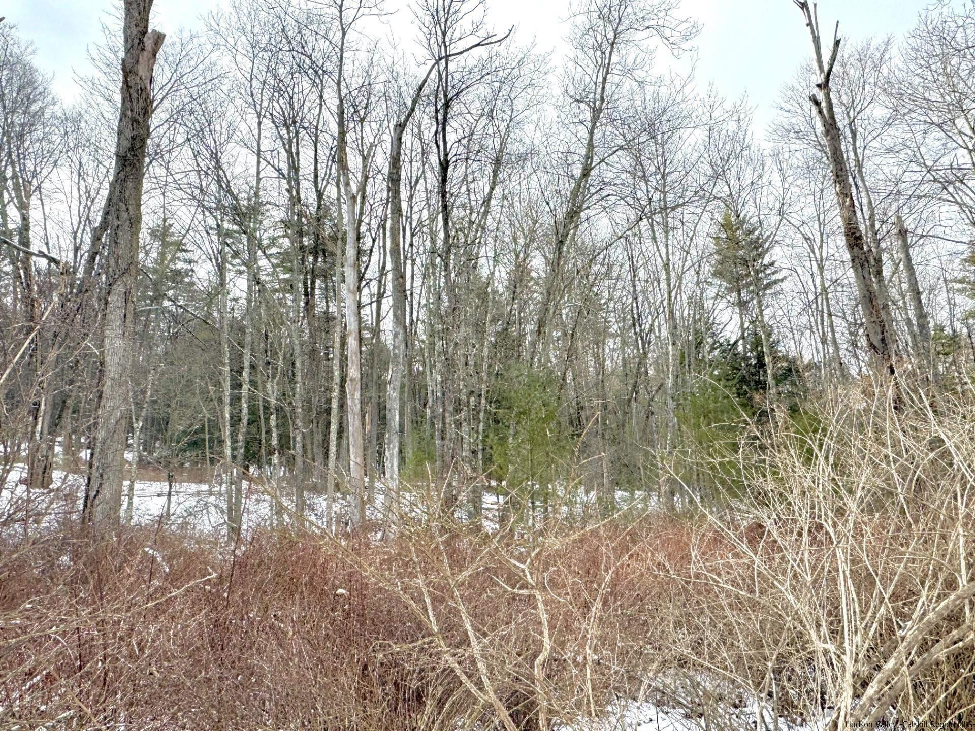 547 Glenford-wittenberg Road, Bearsville, New York image 11