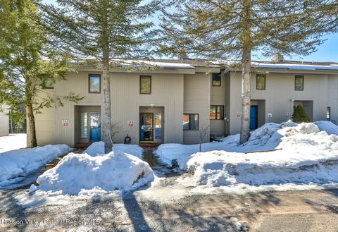 Photo of #44 Loo Bridge Lane, Windham, NY 12496 (MLS # 20261025)