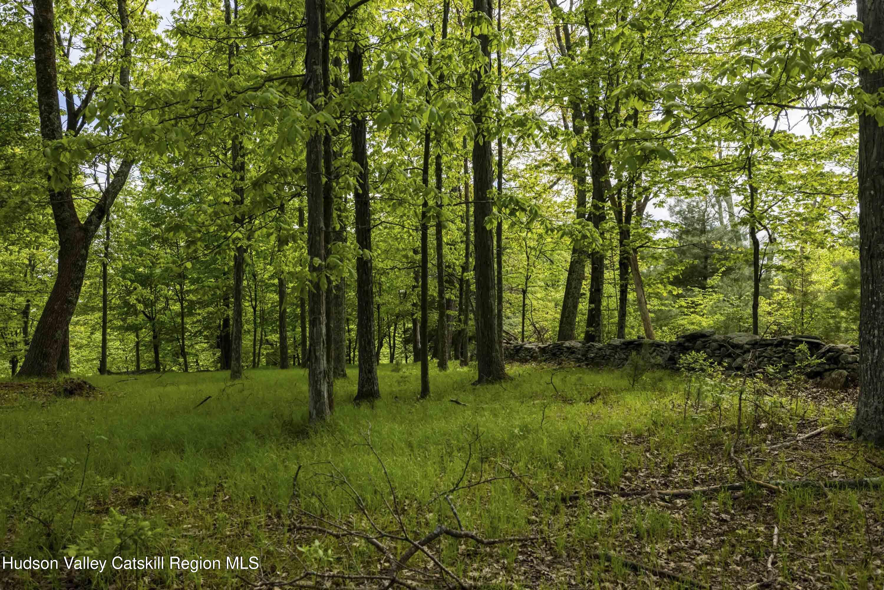 8 E Forest Camp Road, Wawarsing, New Mexico image 14