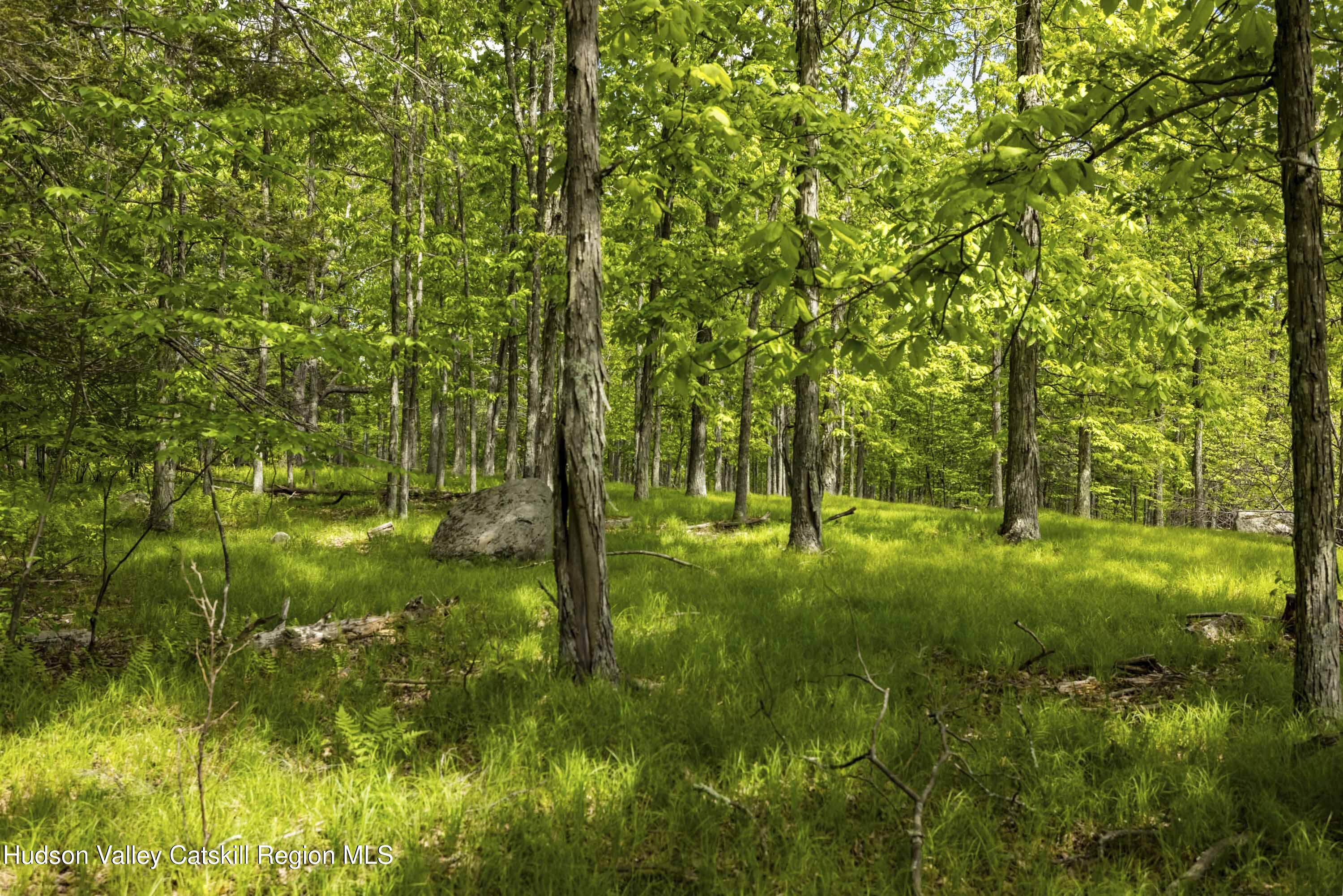 8 E Forest Camp Road, Wawarsing, New Mexico image 10