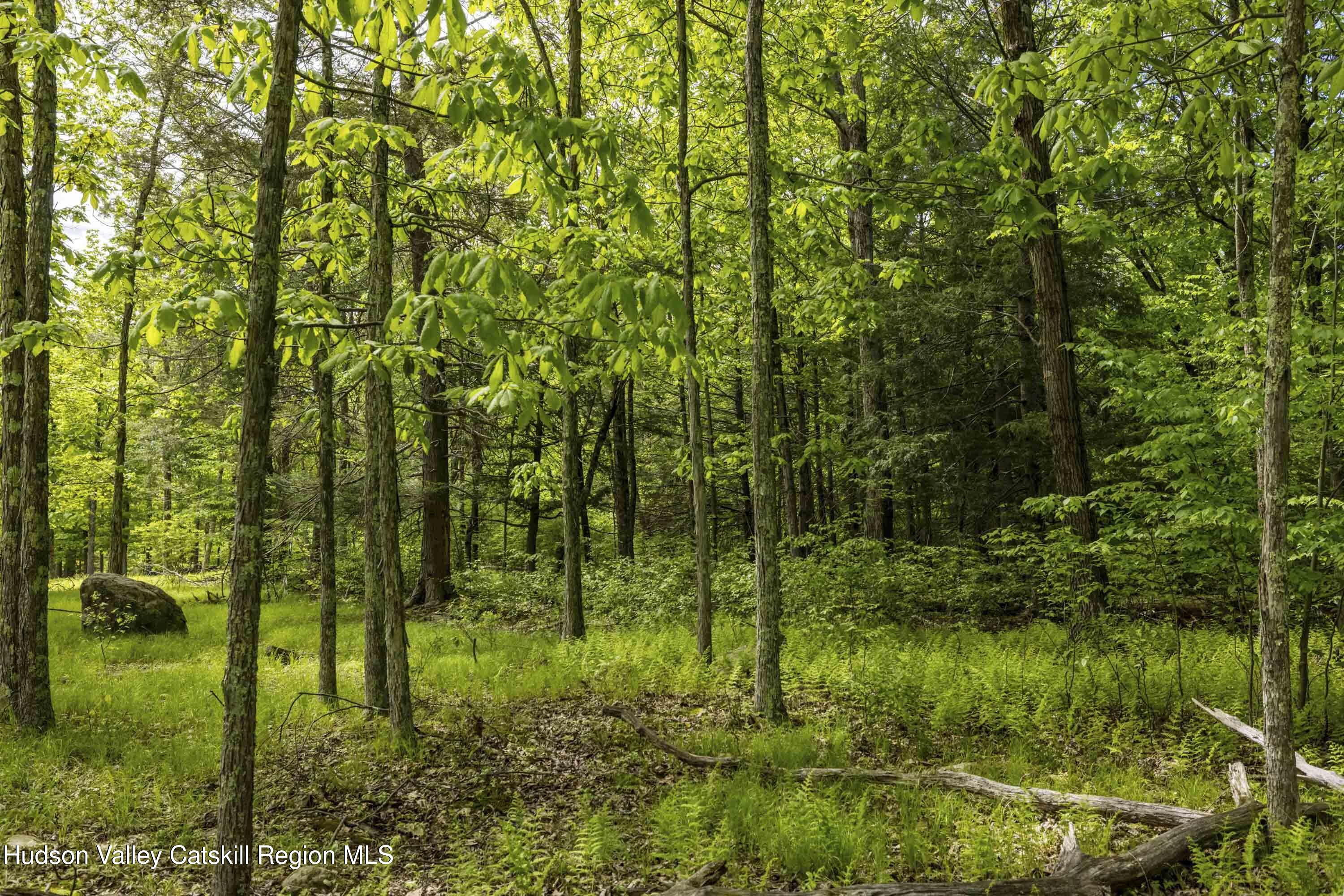 8 E Forest Camp Road, Wawarsing, New Mexico image 11
