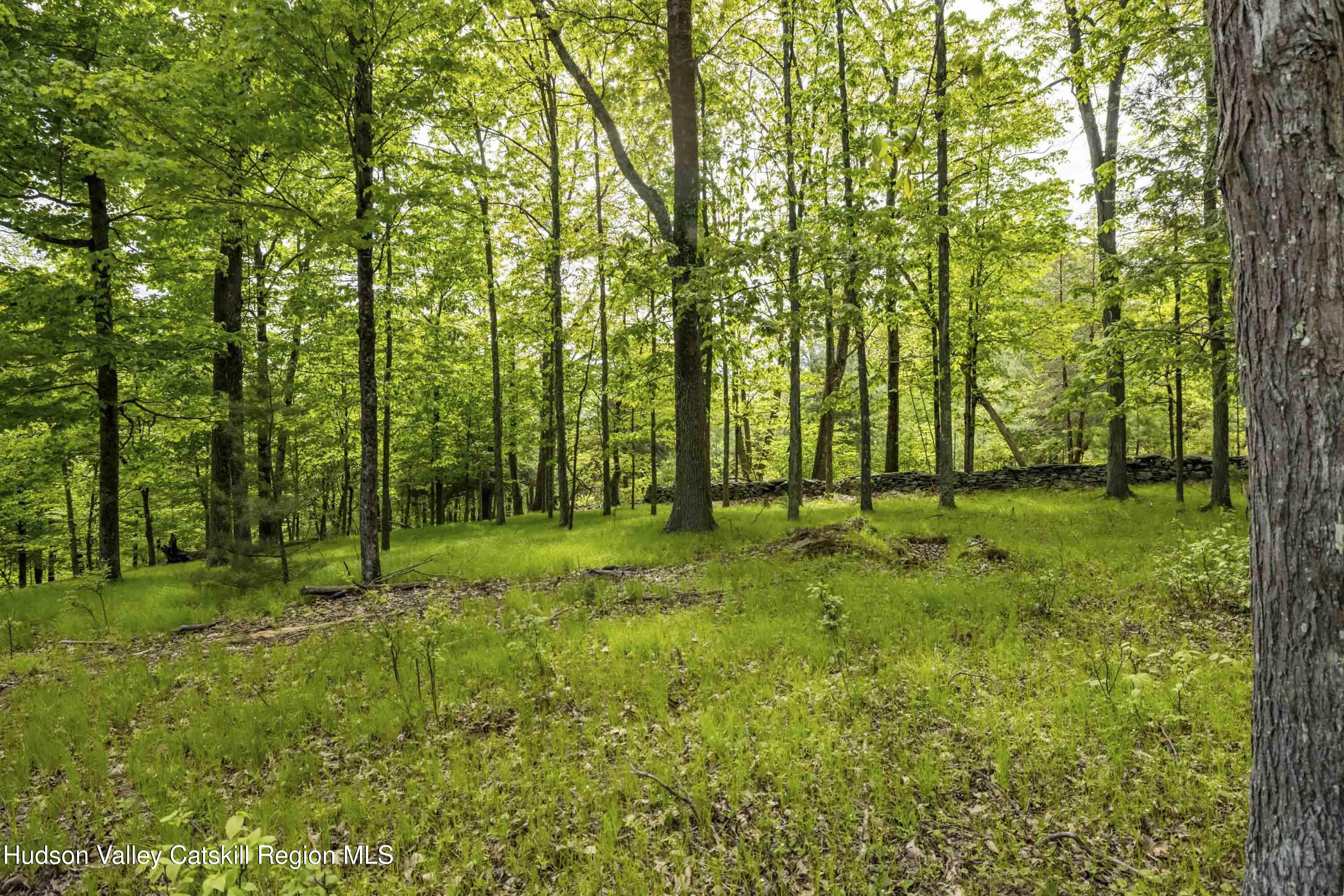 8 E Forest Camp Road, Wawarsing, New Mexico image 13