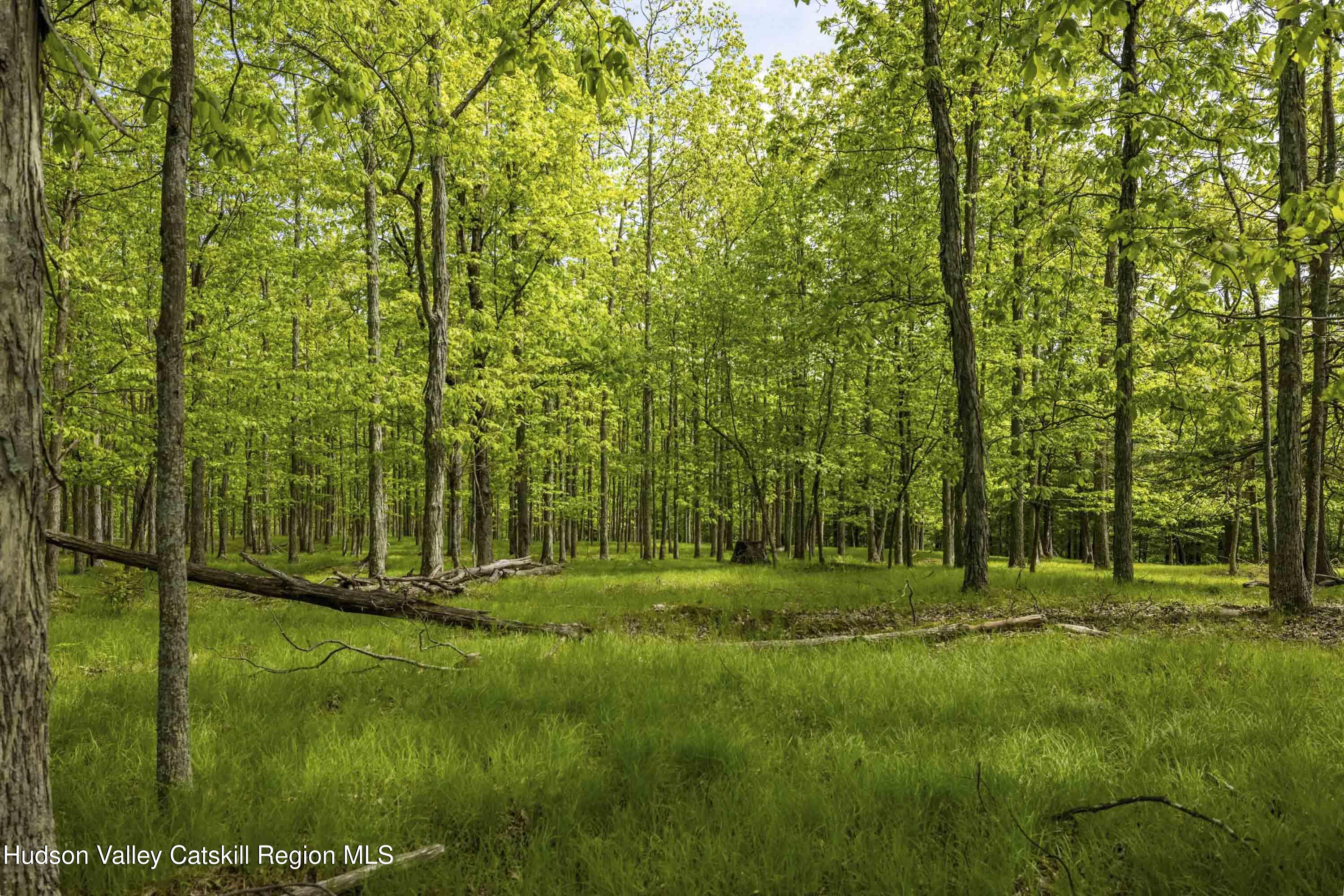8 E Forest Camp Road, Wawarsing, New Mexico image 12