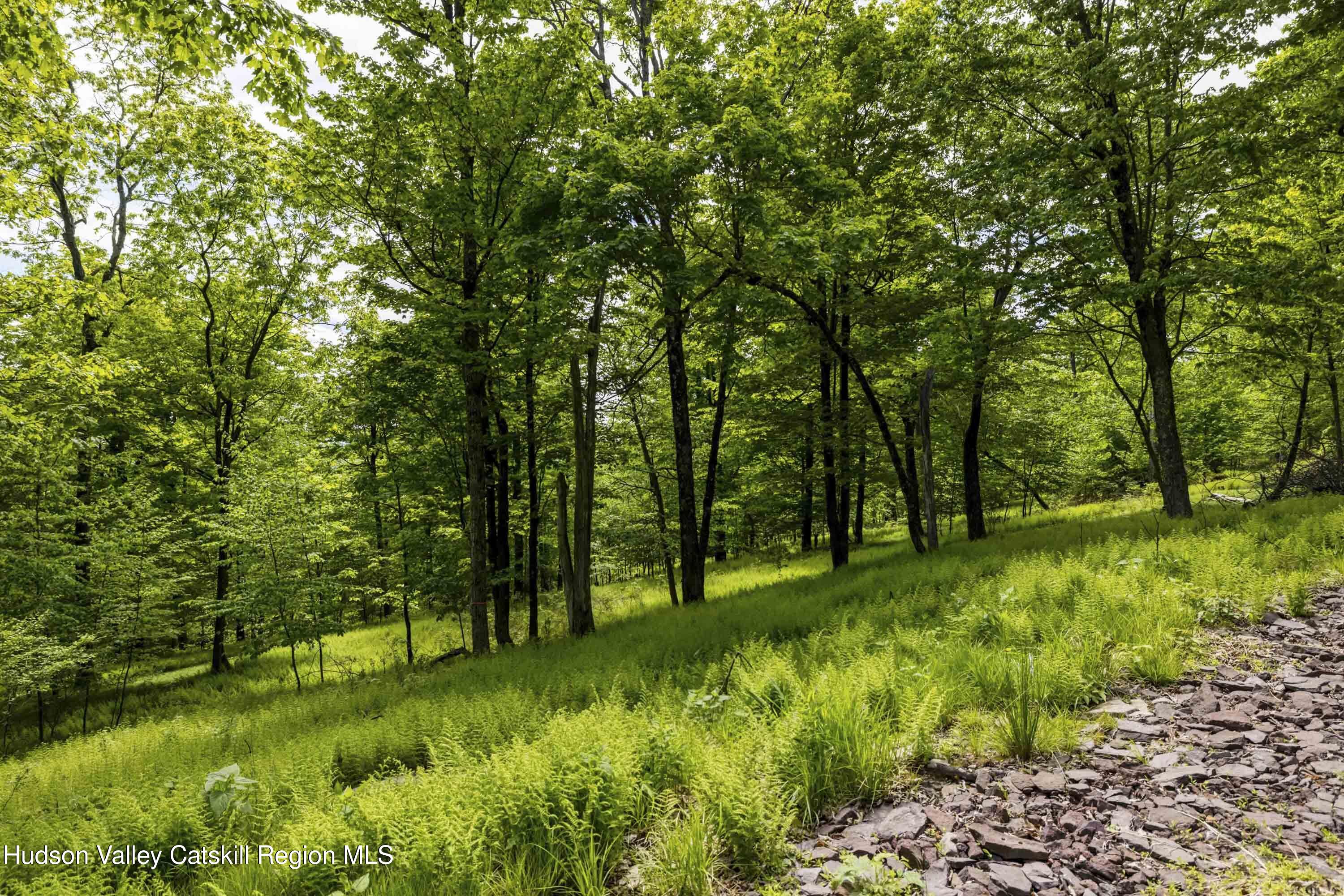 8 E Forest Camp Road, Wawarsing, New Mexico image 8