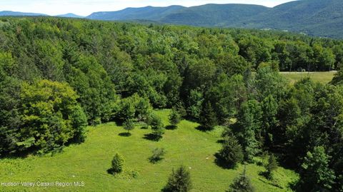 Vacant Land For Sale - Van Etten Road<br/> Lexington, NY 12452