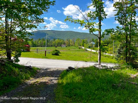 Vacant Land For Sale - 443 County Road 13<br/> Prattsville, NY 12468