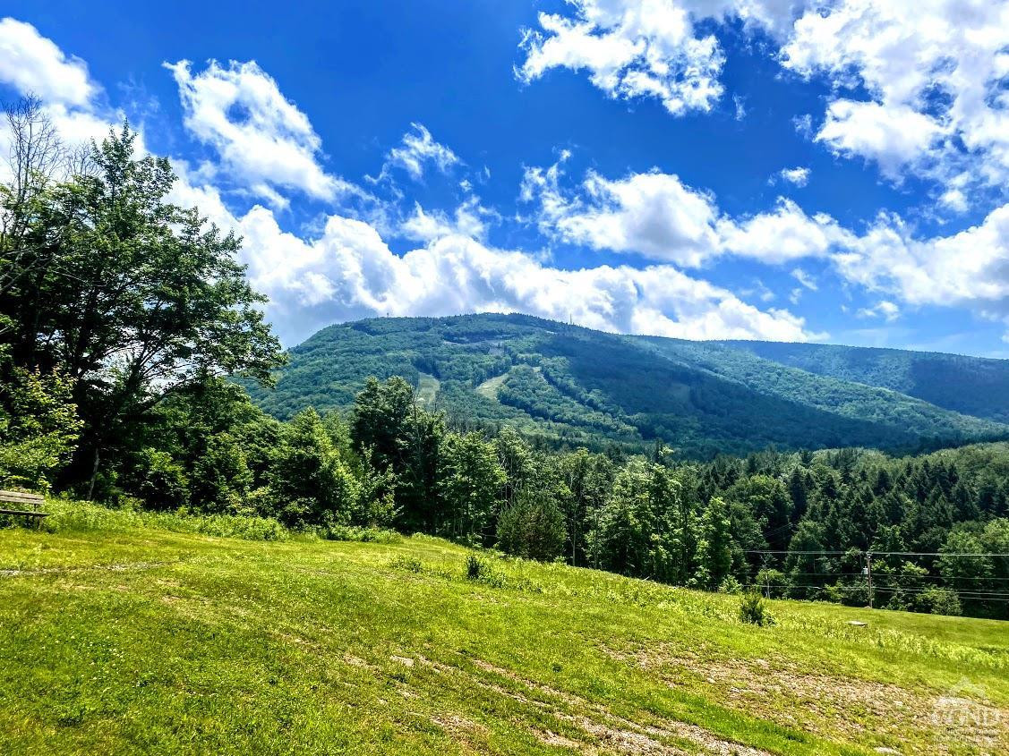 Property for Sale at 8444 Route 23A, Hunter, New York -  - $1,750,000