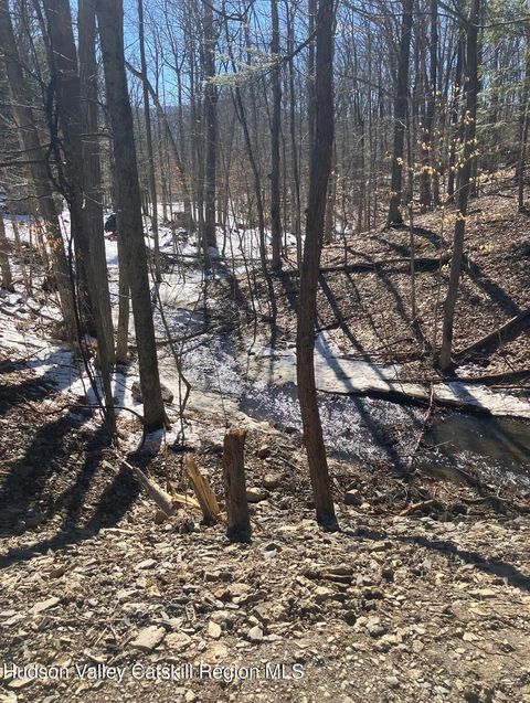 Vacant Land For Sale - Pine Crest Lane<br/> Freehold, NY 12431