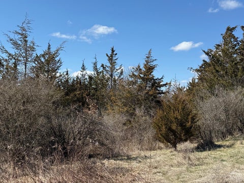 Vacant Land For Sale - 2 Westerly Ridge Drive<br/> Amenia, NY 12501