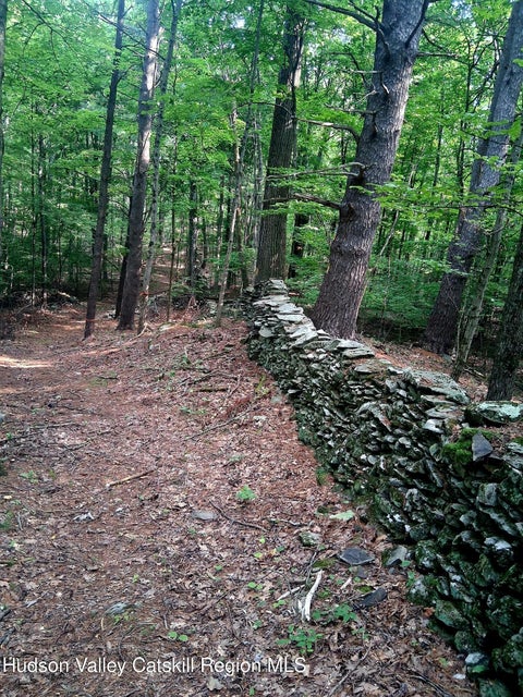 Photo for 248 Canniff Road