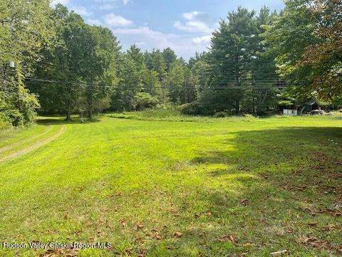 Vacant Land For Sale - L-25 Gayhead-earlton Road<br/> Greene County, Earlton, NY 12058